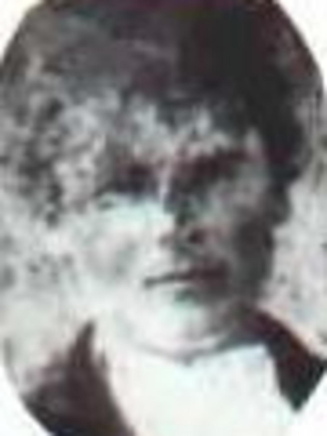 John Alma Lee (1840 - 1881) Profile